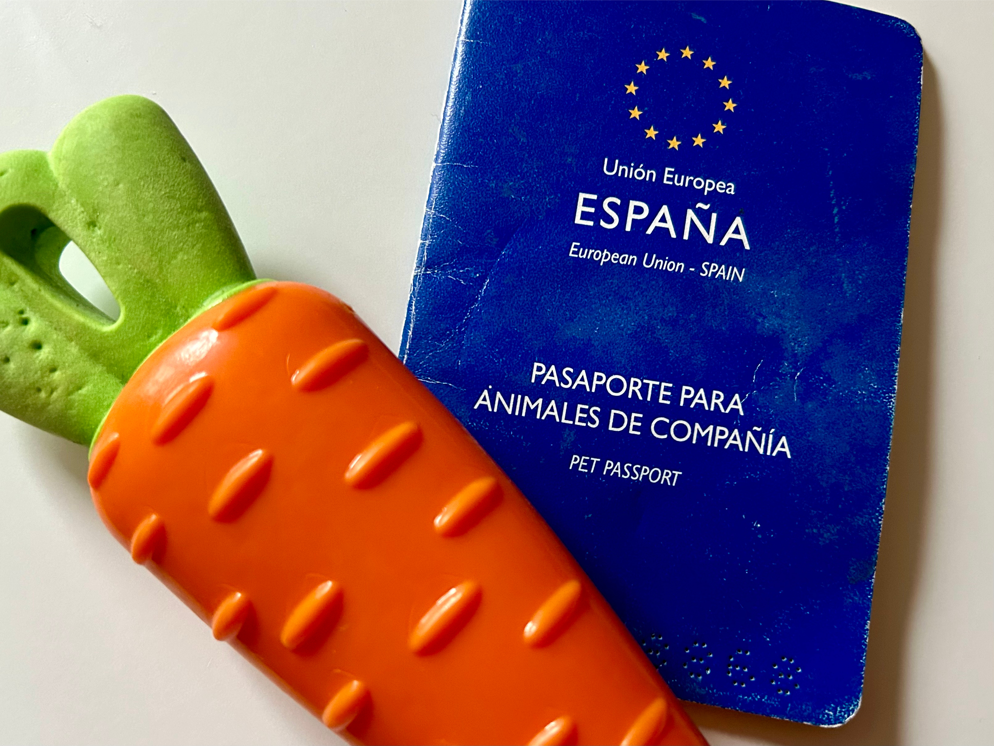 Photograph of a Spanish Pet Passport and a dog's vinyl carrot chew toy. Copyright © Melanie Lampro.